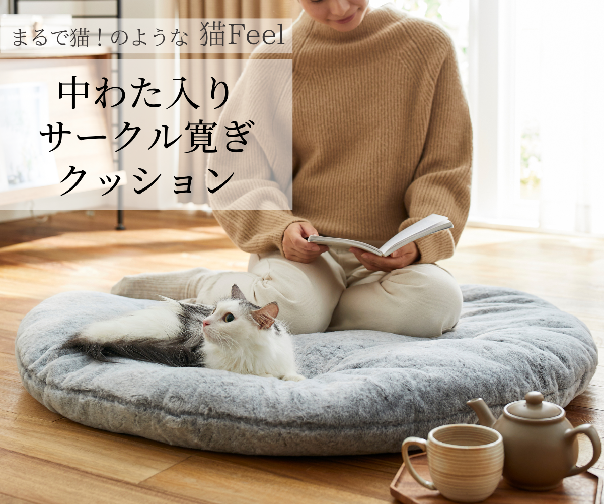 お待たせしました！！最速4 分で完売した「まるで猫」のような『猫Feel