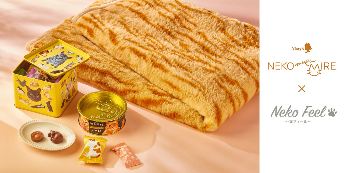 メリーチョコレート「ねこみゃみれ」とニッセン「猫フィール」が初 メリーチョコレート「ねこみゃみれ」とニッセン「猫フィール」が初