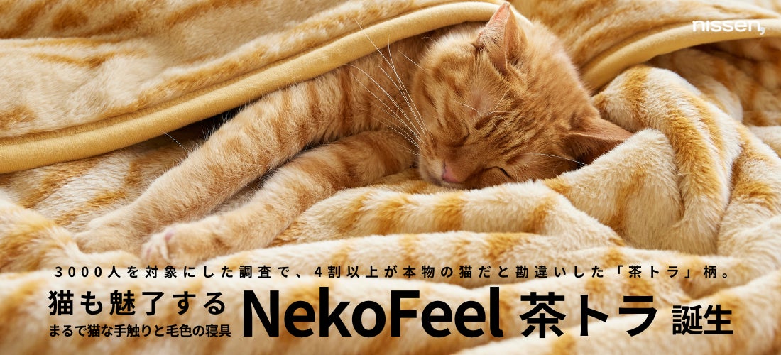 各種メディアで話題の、”まるで猫のような寝具”『猫フィール』に 各種メディアで話題の、”まるで猫のような寝具”『猫フィール』に