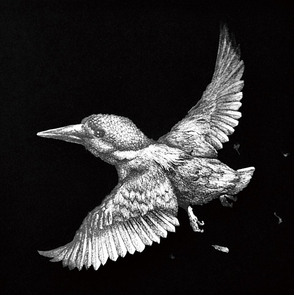 星野　歩 　「カワセミ飛翔」　3号S