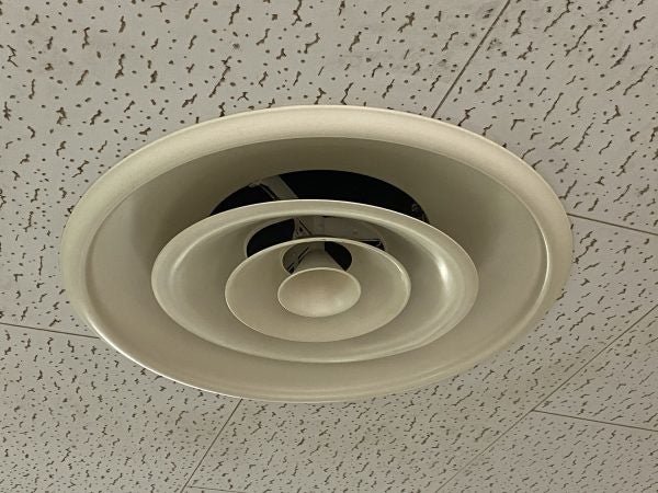 【写真1】アネモ