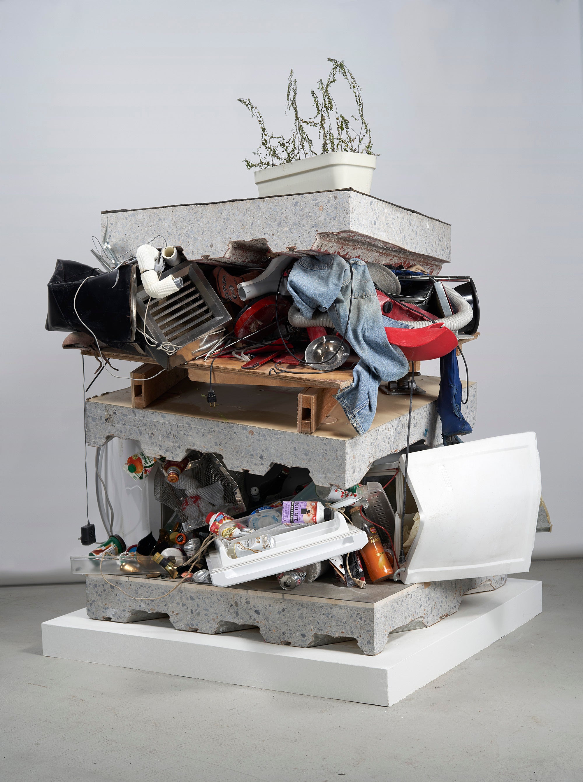 撮影：三嶋一路