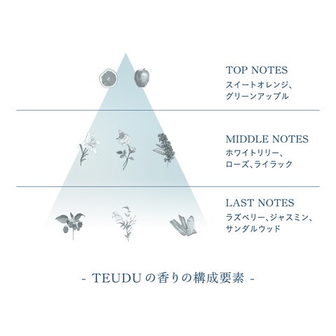 待望の再生医療スキンケア※1 最高濃度※2 iPS細胞培養上清液※3配合 待望の再生医療スキンケア※1 最高濃度※2 iPS細胞培養上清液※3配合