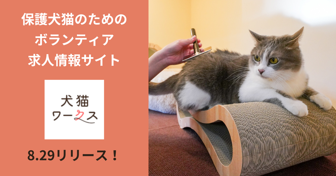 東京2020ボランティア グッズセット(保護犬、猫ボランティア施設に売上金寄付) capin #保護犬 #里親募集 #保護猫 #ボランティア募集 #子猫