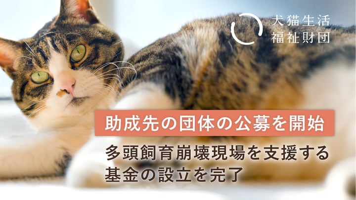 犬猫生活福祉財団、多頭飼育崩壊現場の支援を目的とした「基金」の設立 犬猫生活福祉財団、多頭飼育崩壊現場の支援を目的とした「基金」の設立