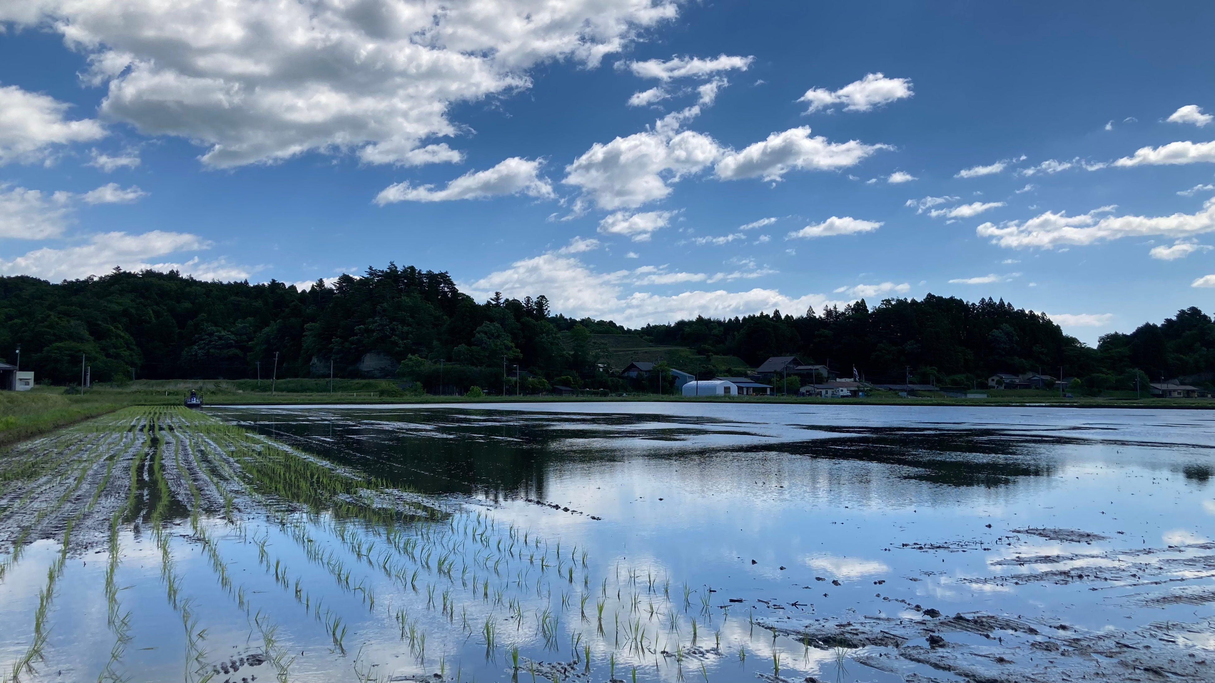 南相馬市小高の田植え（根本有機農園）