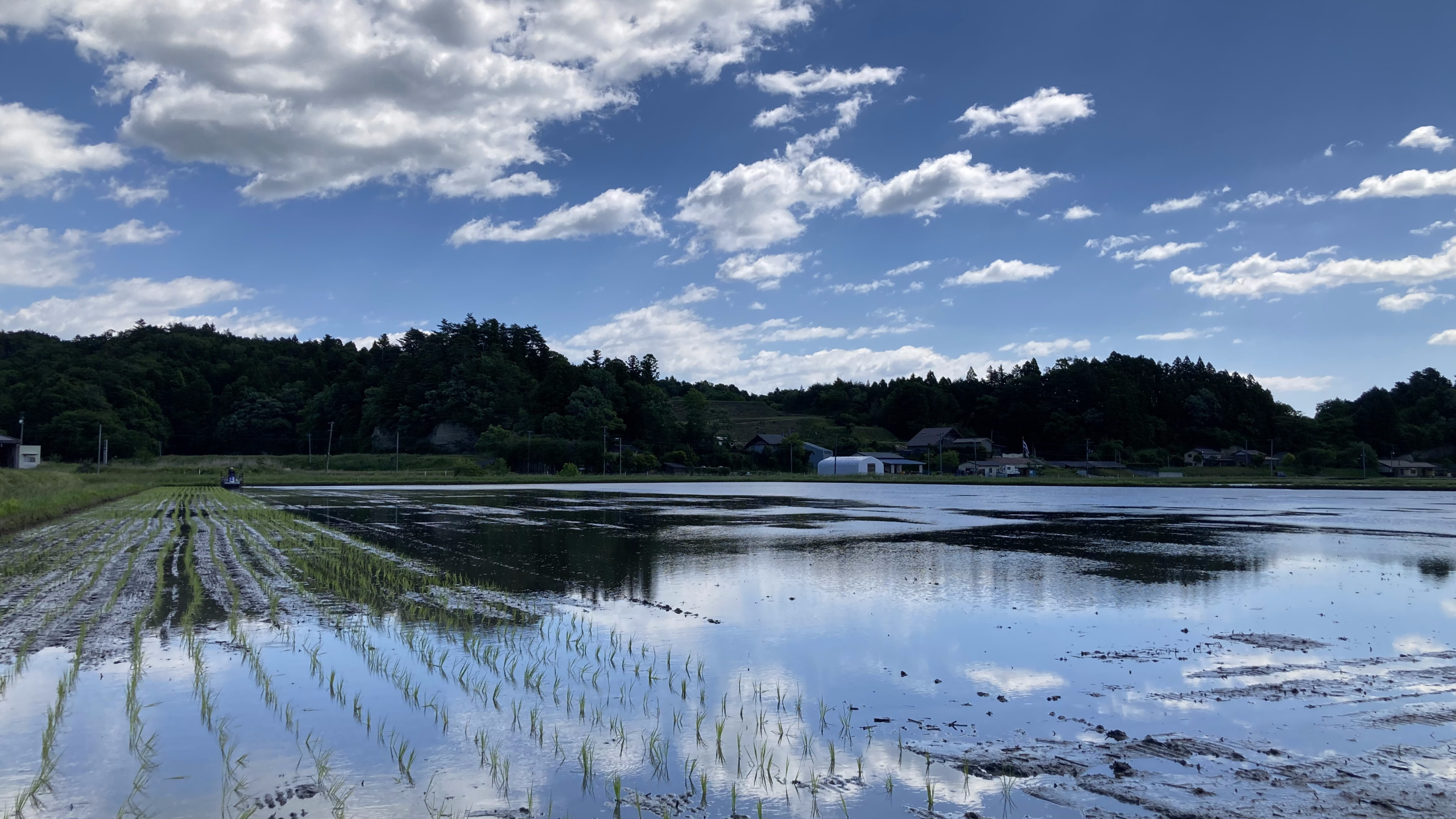 南相馬市小高区の圃場