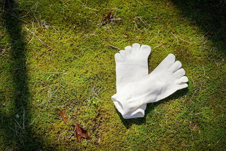 五本指くつした