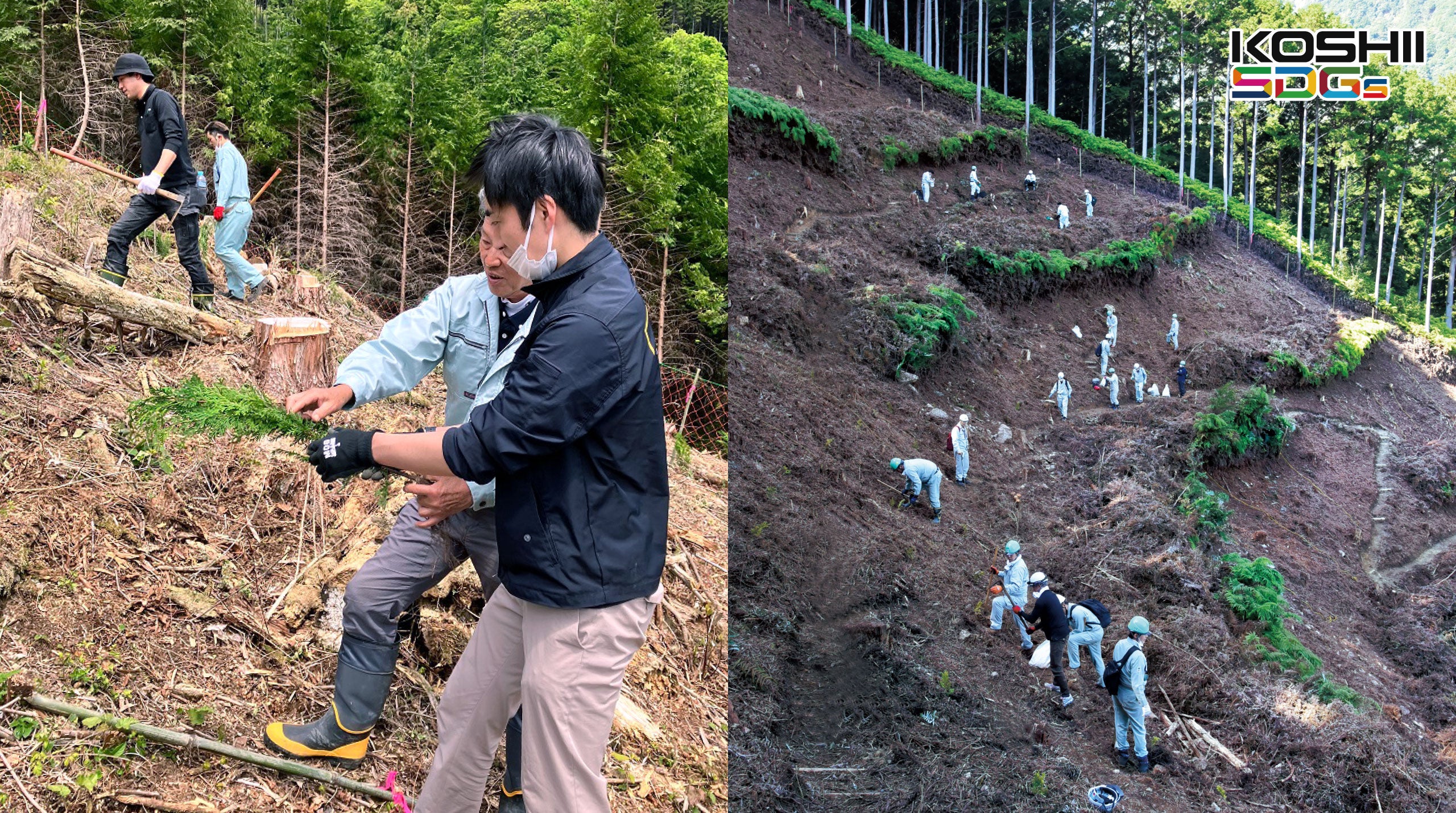 社員と地元建築業者との植林活動・植林研修