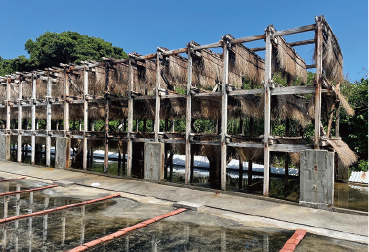 貴重な昔ながらの製塩システム