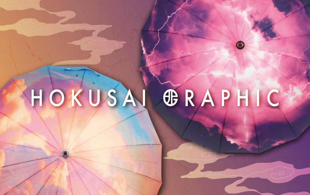 HOKUSAI GRAPHIC 北斎グラフィック 長傘 傘 HOKUSAI GRAPHIC 北斎グラフィック 16本骨傘 USED美品 鯉の滝