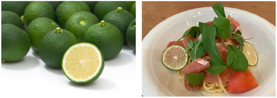 専用出品です。S様ご注文分 福岡聖菜 山﨑空 他 41歳・磯山さやか、最新写真集が22日発売 〝胸にフルーツ〟ショット