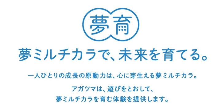 世界中で100万個販売の大人気商品!「Biggies(ビギーズ)」空気を入れるとふくらむボール型ぬいぐるみ 世界中で100万個販売の大人気商品!「Biggies(ビギーズ)」空気を入れるとふくらむボール型ぬいぐるみ
