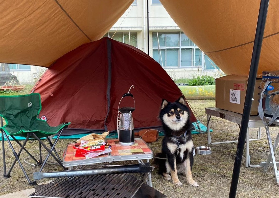 愛犬とお泊まり