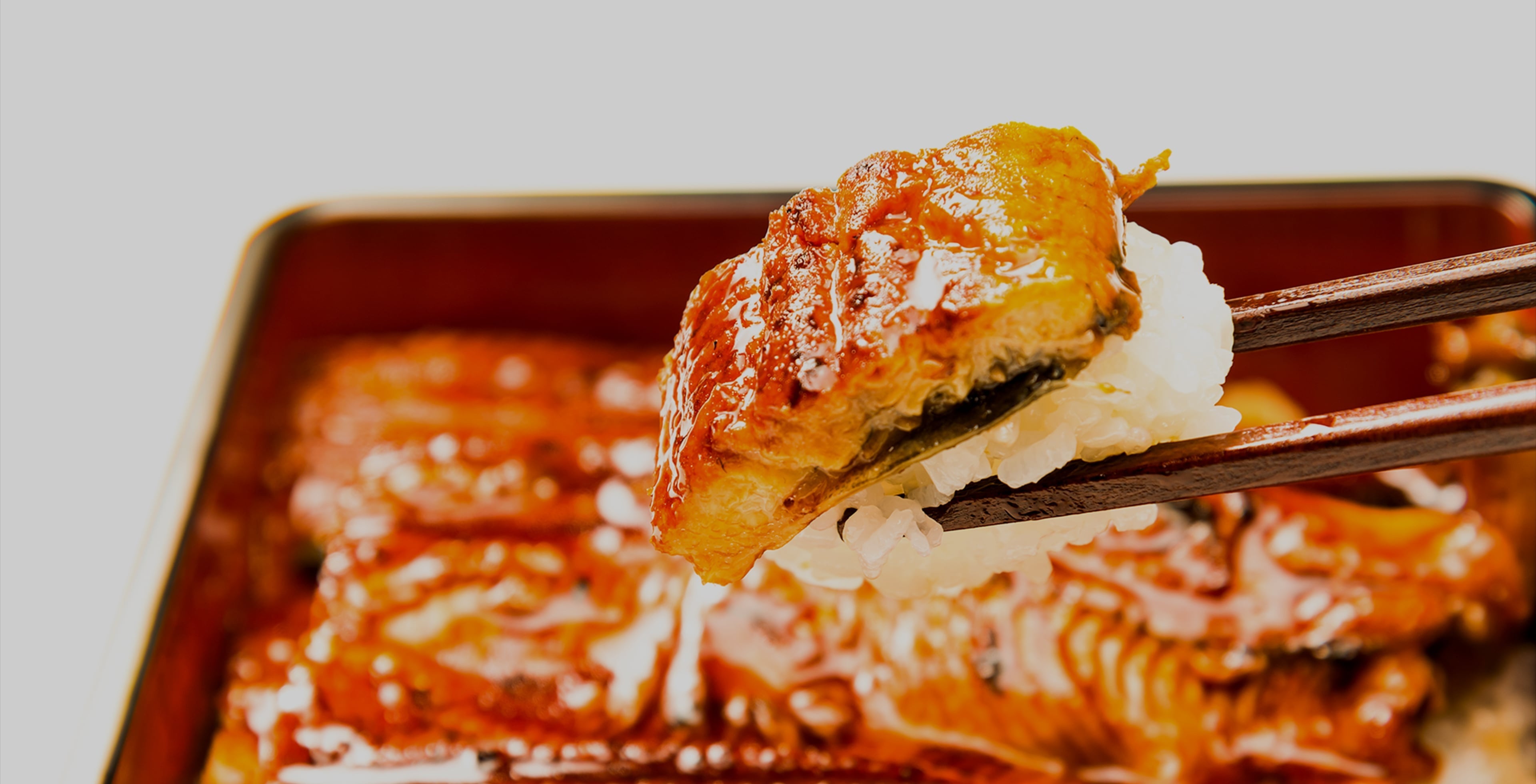 うな重イメージ