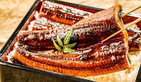 栄養満点のうなぎをお腹いっぱいどうぞ!