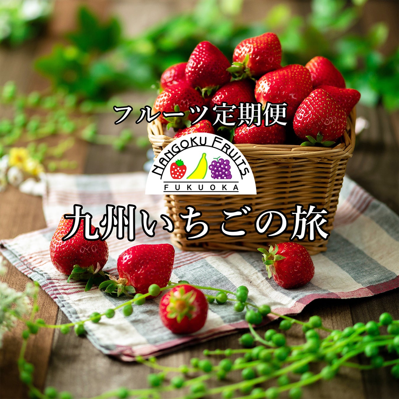 いちごを通して九州を旅する定期便 九州いちごの旅 予約開始 南国フルーツ株式会社のプレスリリース いちごを通して九州を旅する定期便 九州いちごの旅 予約開始 南国フルーツ株式会社のプレスリリース
