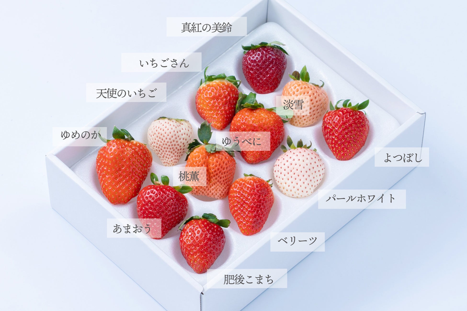 旬のイチゴを堪能する いちご12種食べ比べ 期間限定販売 南国フルーツ株式会社のプレスリリース 旬のイチゴを堪能する いちご12種食べ比べ 期間限定販売 南国フルーツ株式会社のプレスリリース