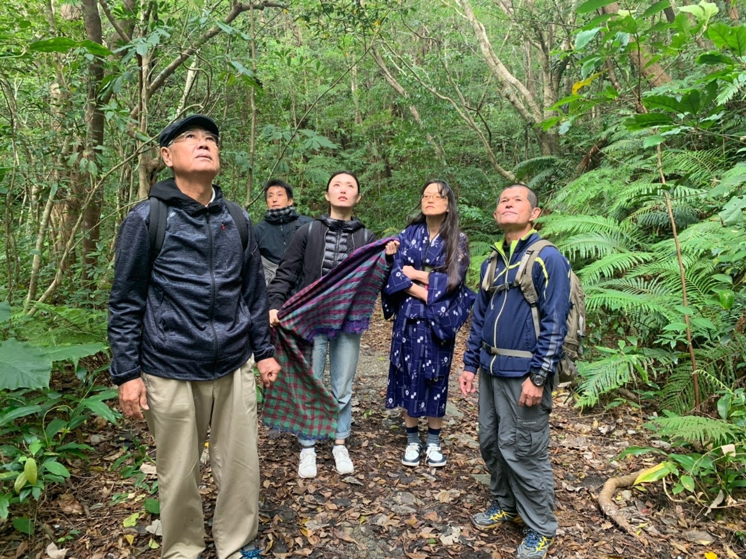 国頭村　やんばるの森