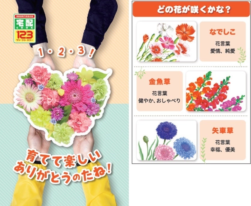 花の育成キット