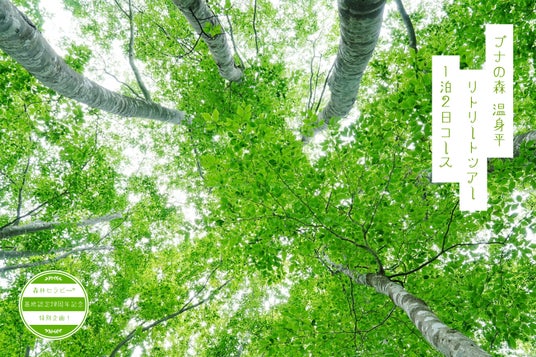 【置賜・小国町】山形県内唯一の森林セラピー(R)基地「温身平の森」 1泊2日の特別リトリートツアーを開催 【置賜・小国町】山形県内唯一の森林セラピー(R)基地「温身平の森」 1泊2日の特別リトリートツアーを開催
