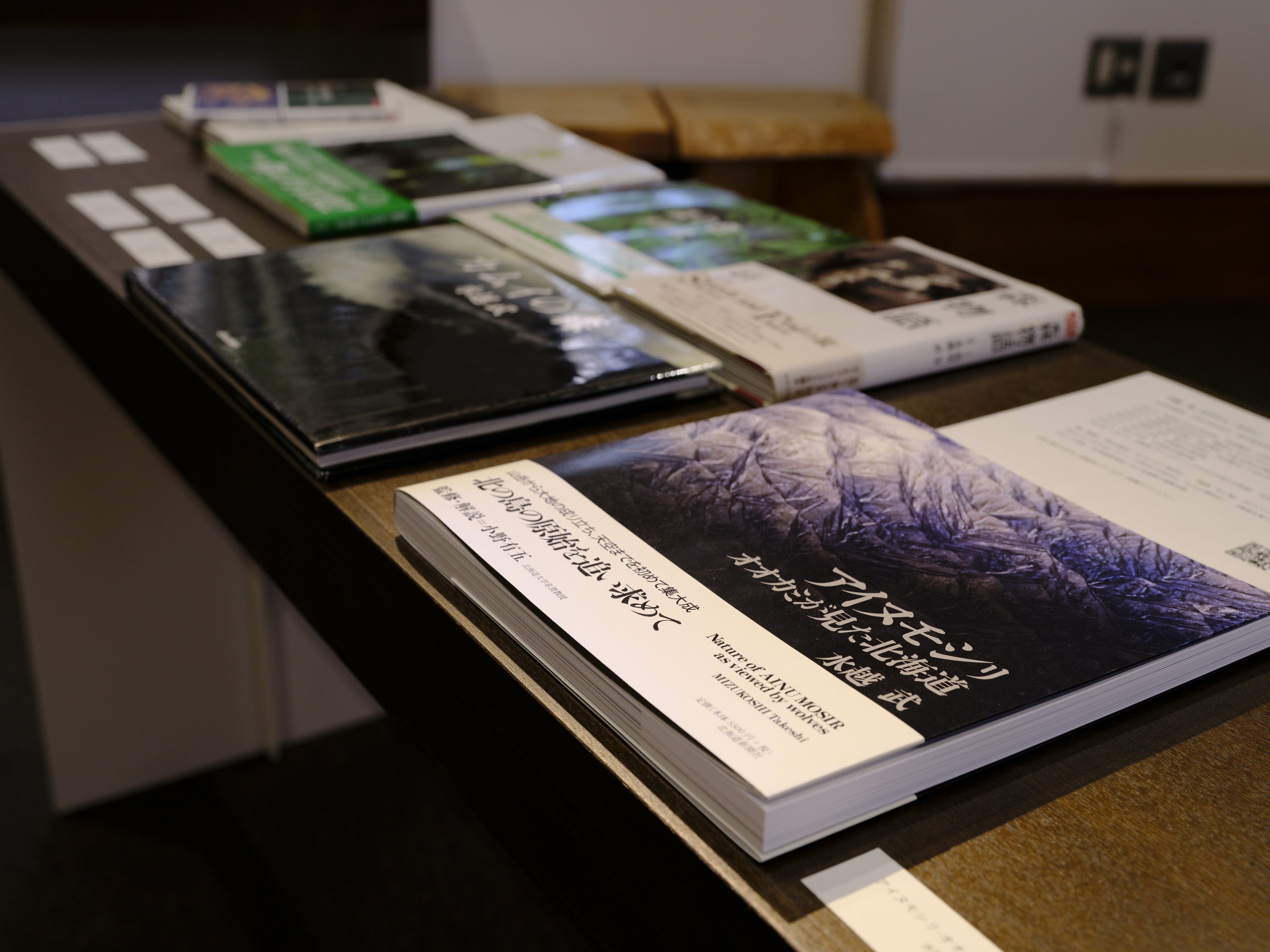 北海道の大自然が詰まった水越氏の最新刊。