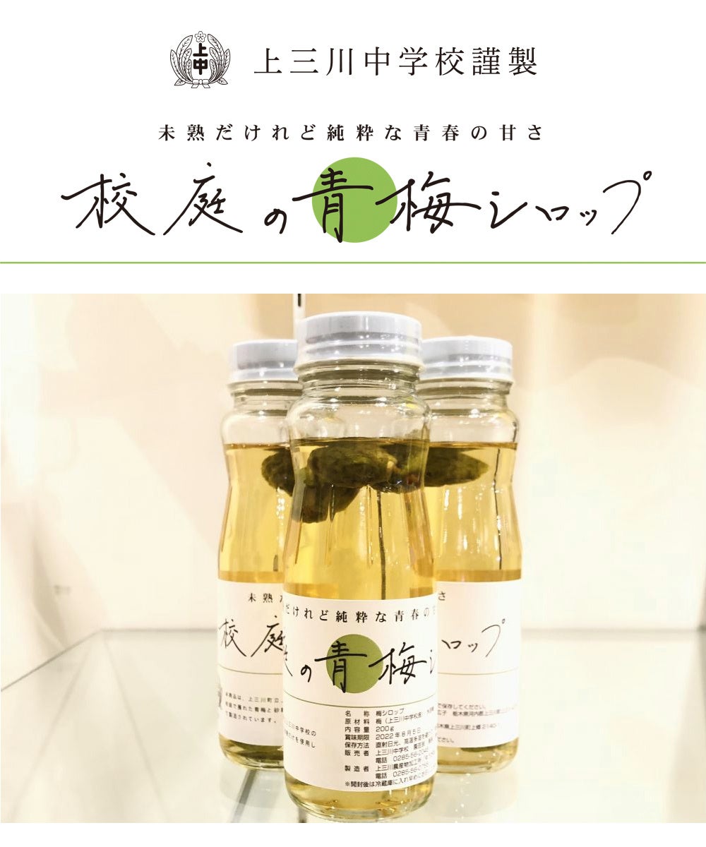 これが大人気の「校庭の青梅シロップ」です。