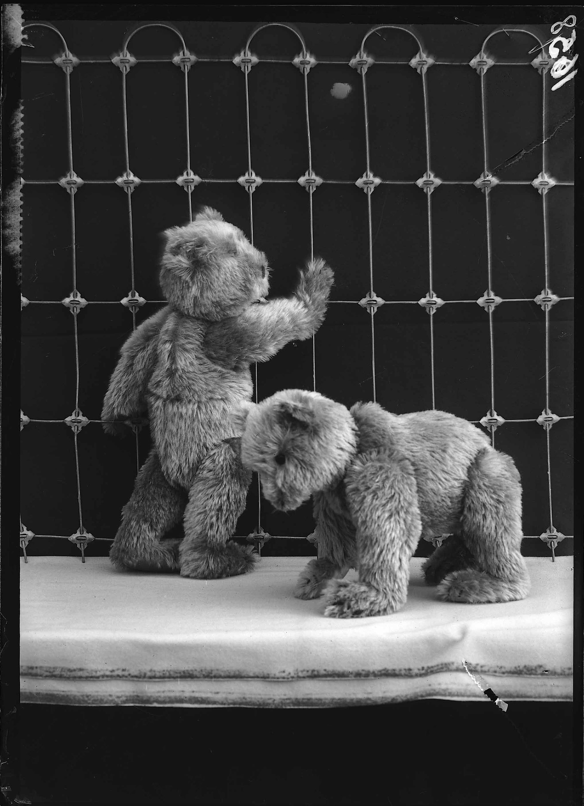 フェイラー　シュタイフ FEILER(フェイラー) × STEIFF(シュタイフ) コラボテディベア