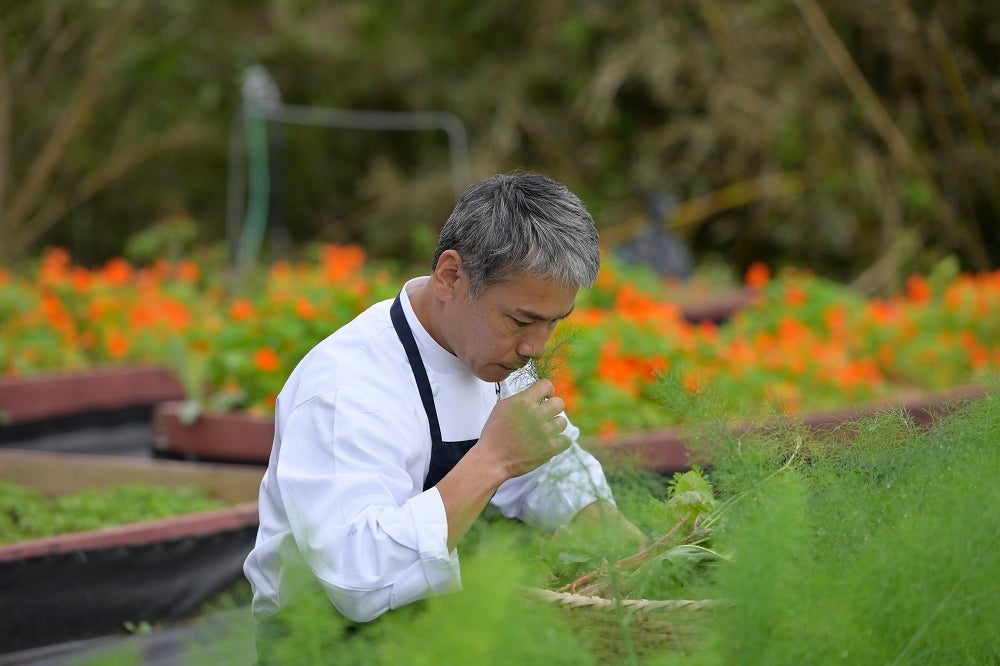 丹精込めて育てた自家菜園の無農薬野菜やハーブ