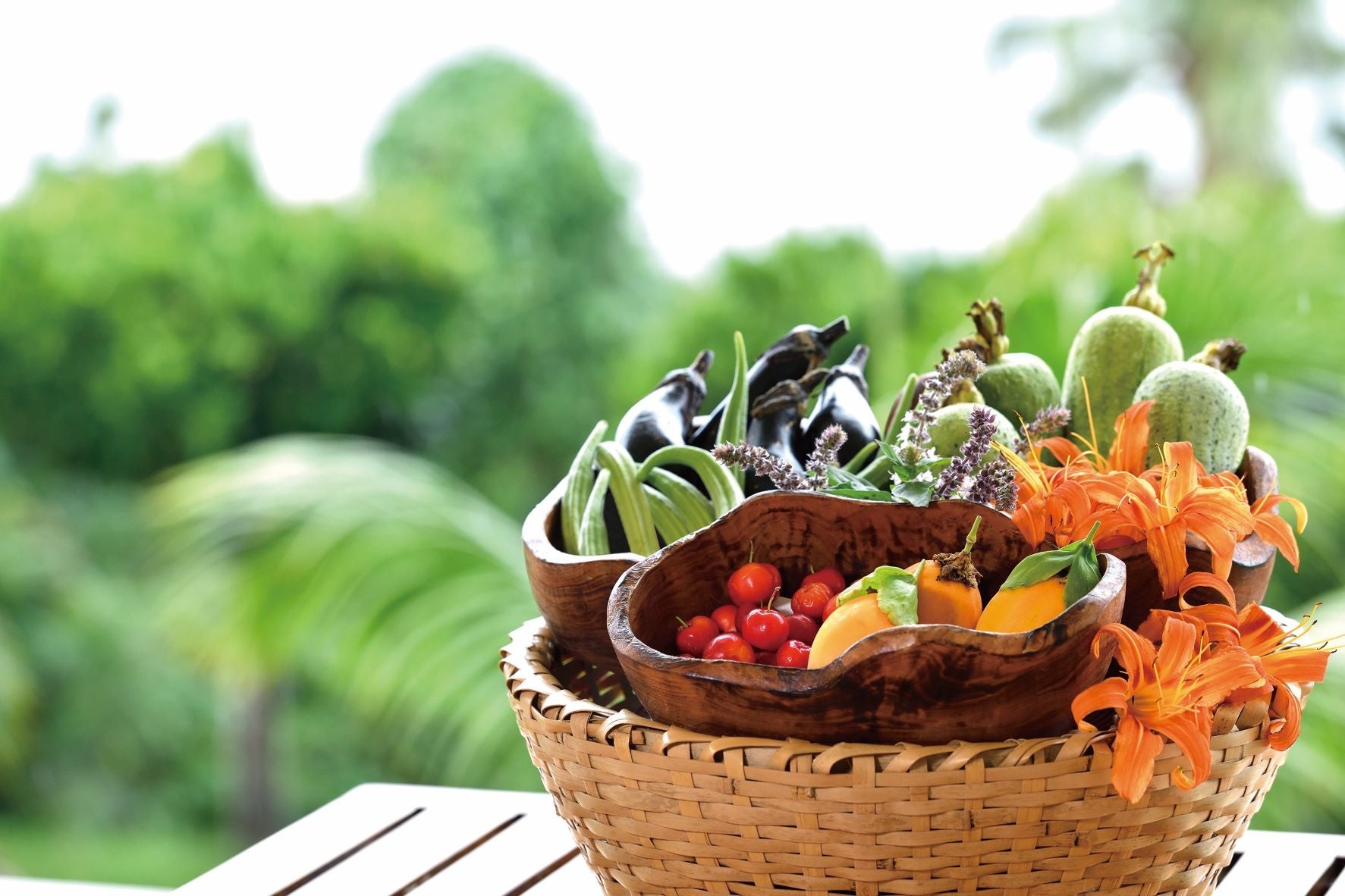 自家農園で収穫した野菜（イメージ）