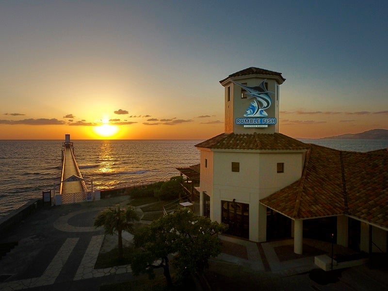 「ランブルフィッシュ」外観