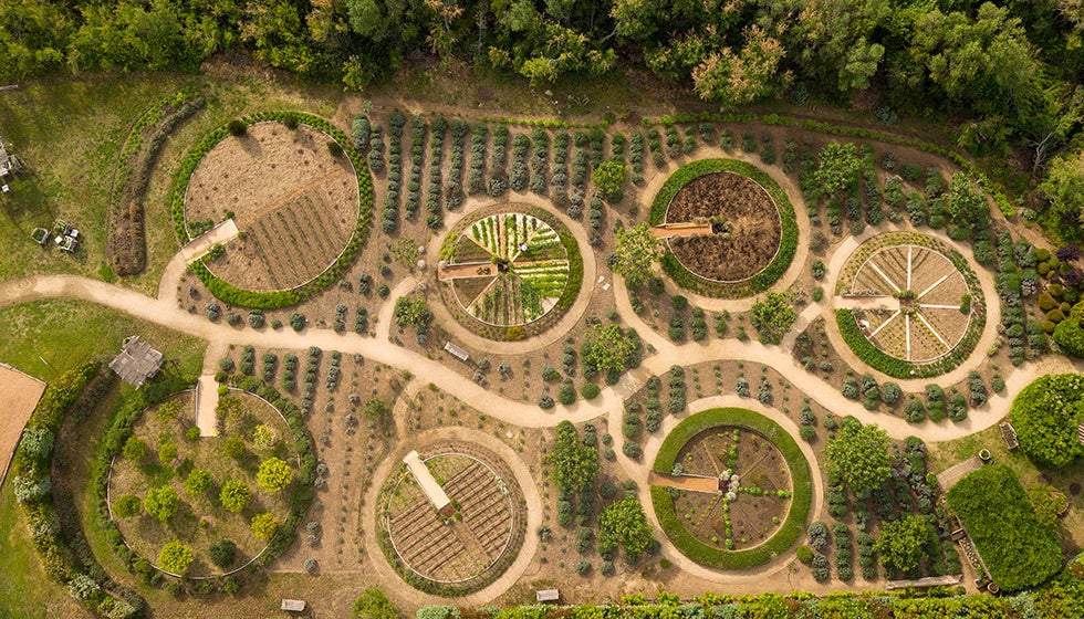 「グランドホテル・デ・カラロッサ」農園