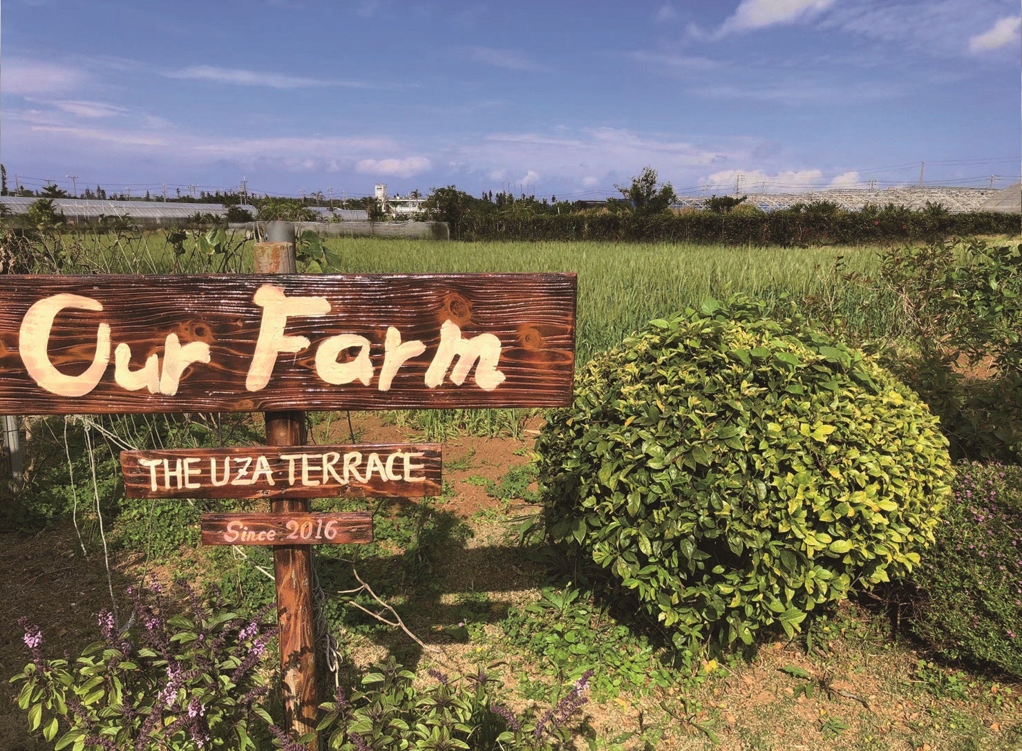 ジ・ウザテラス「OUR FARM」