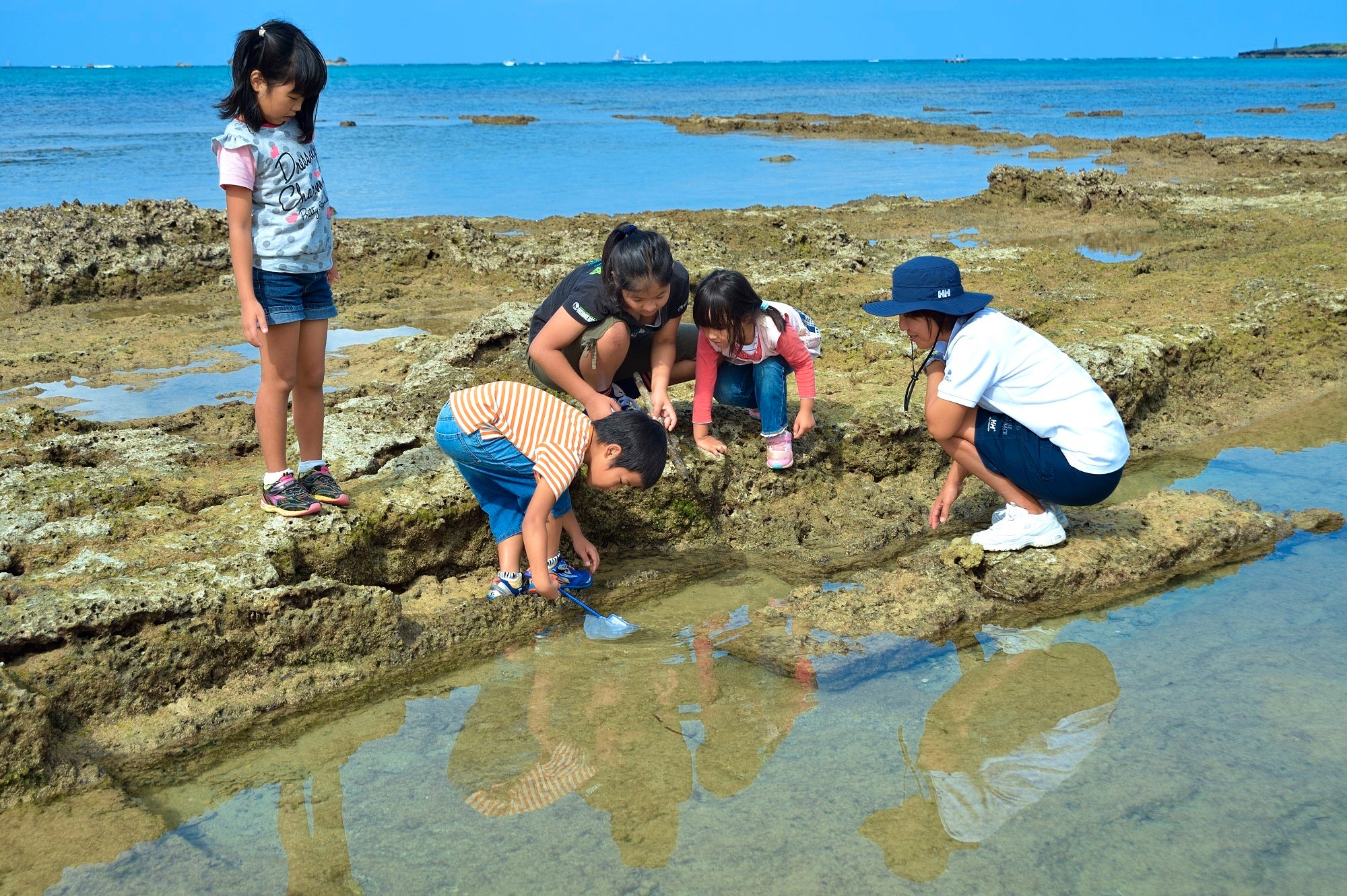 リーフウォッチング（イメージ）