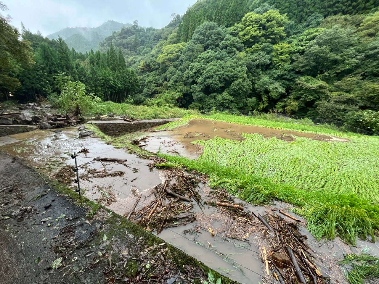 農地や農道も土砂災害の影響を受けております。