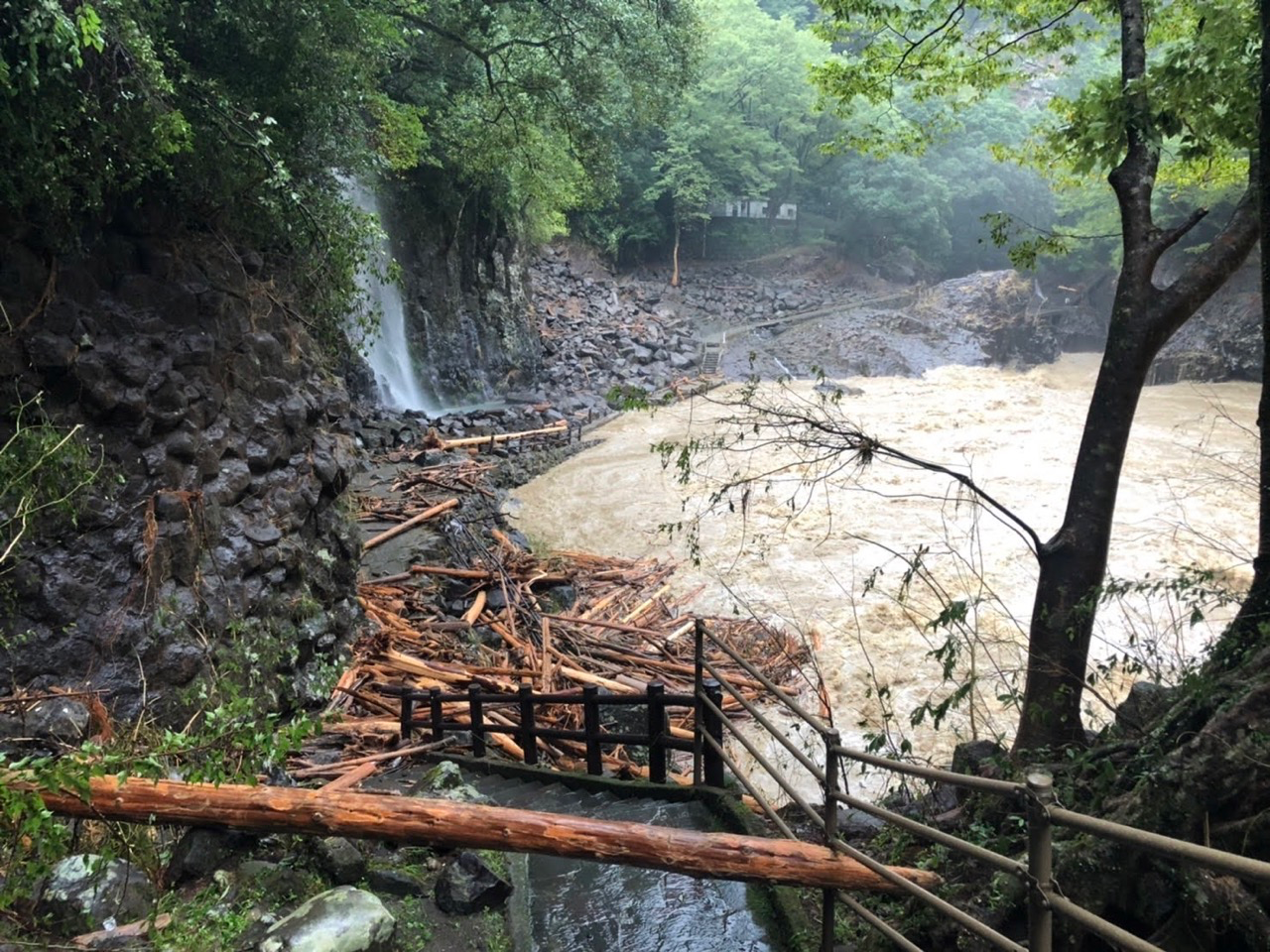 流木の跡が凄まじい水量だったことが伺えます。