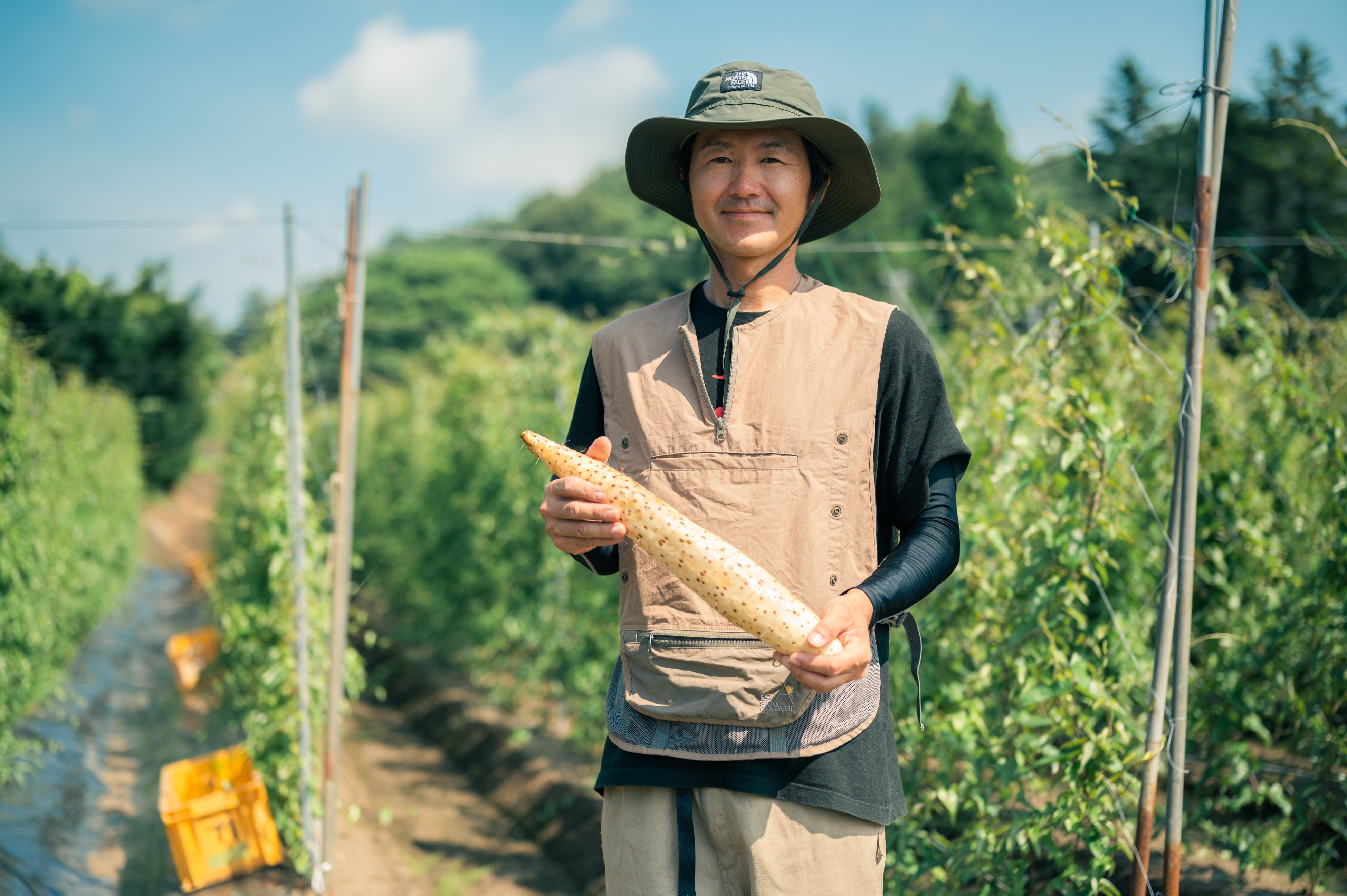 ながいも農家のとよかわ農園・豊川真寿（ますみ）さん