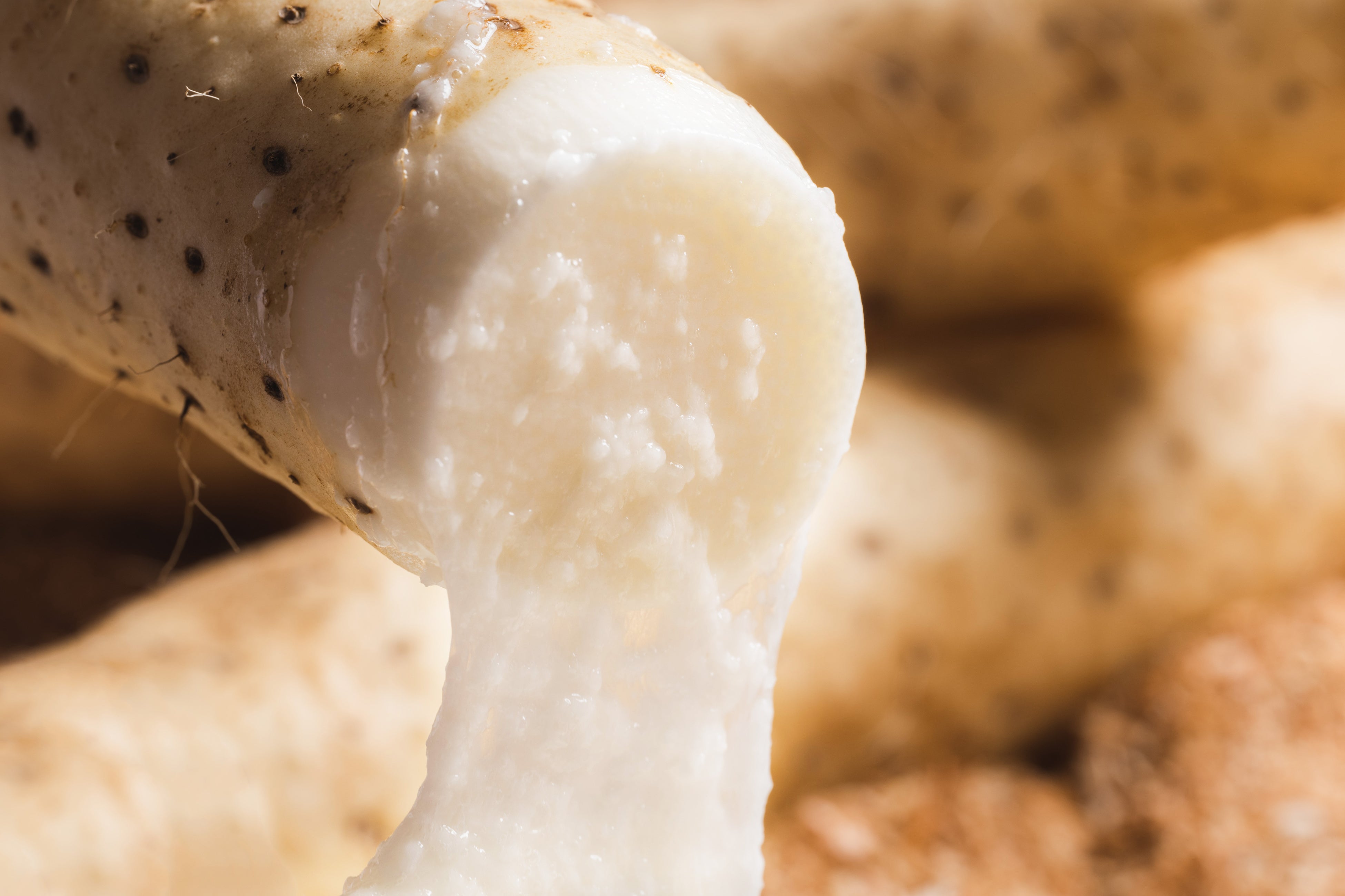 ４年の長期有機栽培で育てられたながいもは皮ごと楽しめる