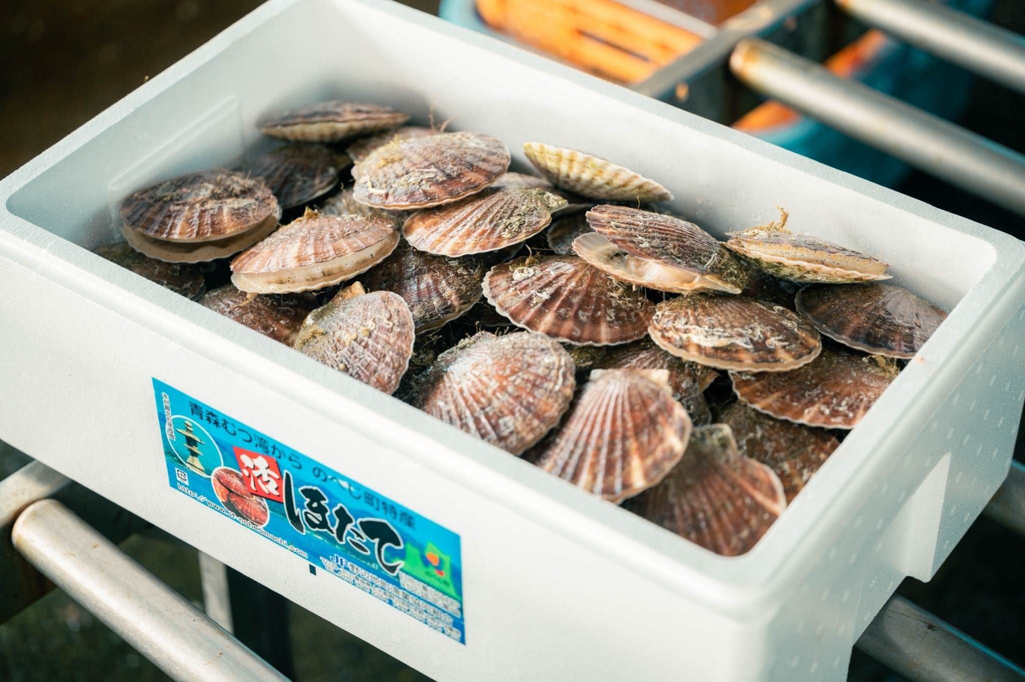 野辺地特産活ほたて