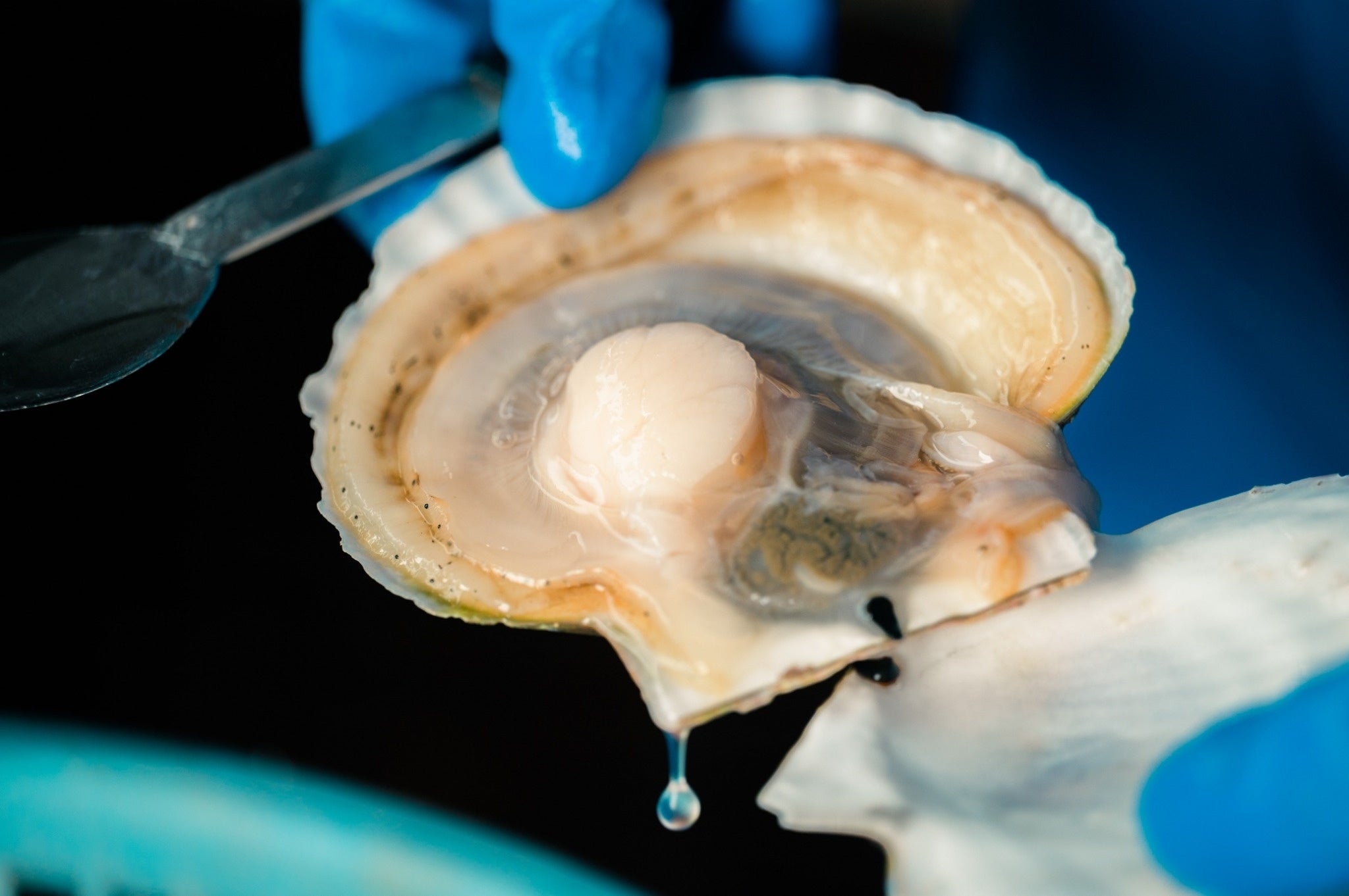 北海道☆お野菜屋さん internal_1627537555638.jpeg?