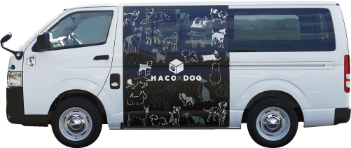 HACO×DOG展示車特別パッケージ（外装デザイン及びホイールはコンセプト仕様）