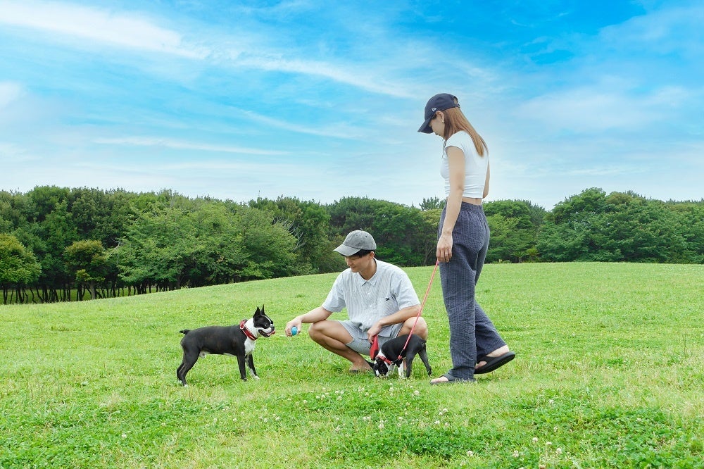 愛犬との自由な旅をHACO×DOGで