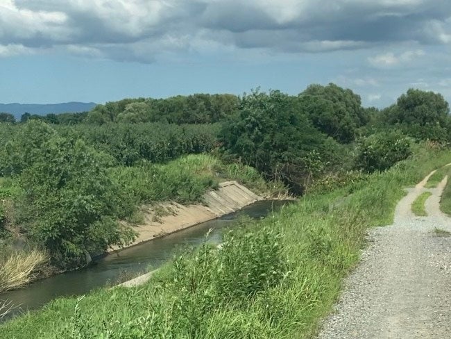 普段の河川