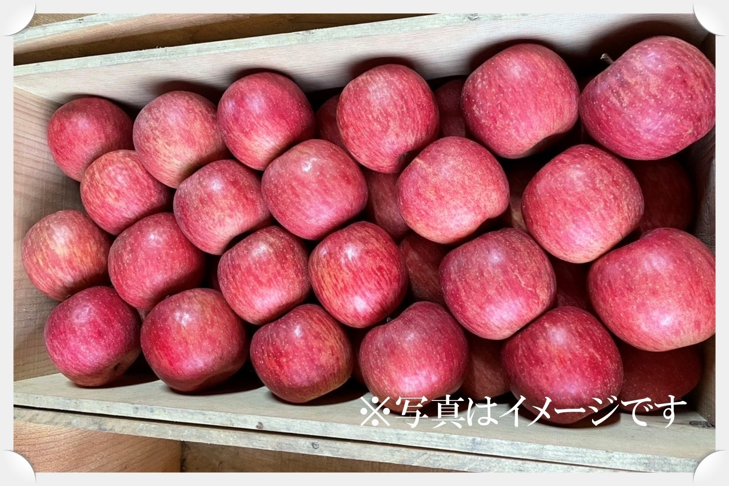 中田農園のリンゴ