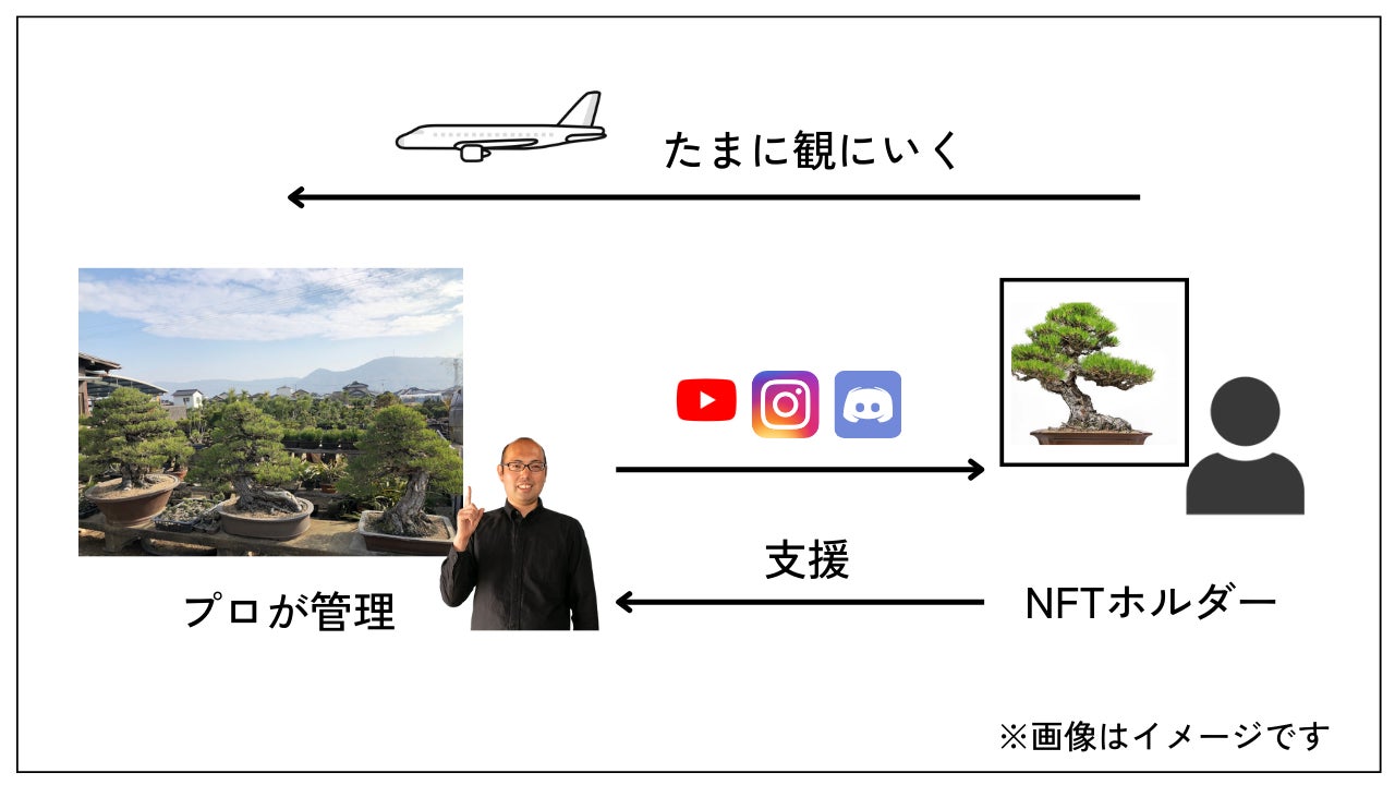 NFTホルダーと生産者の関係