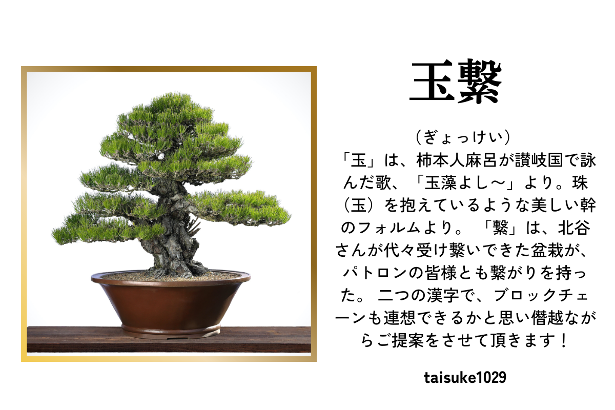 ふるさと納税 香川県 高松市 盆栽パトロンNFT 特別ランク ふるさと納税盆栽パトロンNFT ブラックランク（デジタル商品・実物の