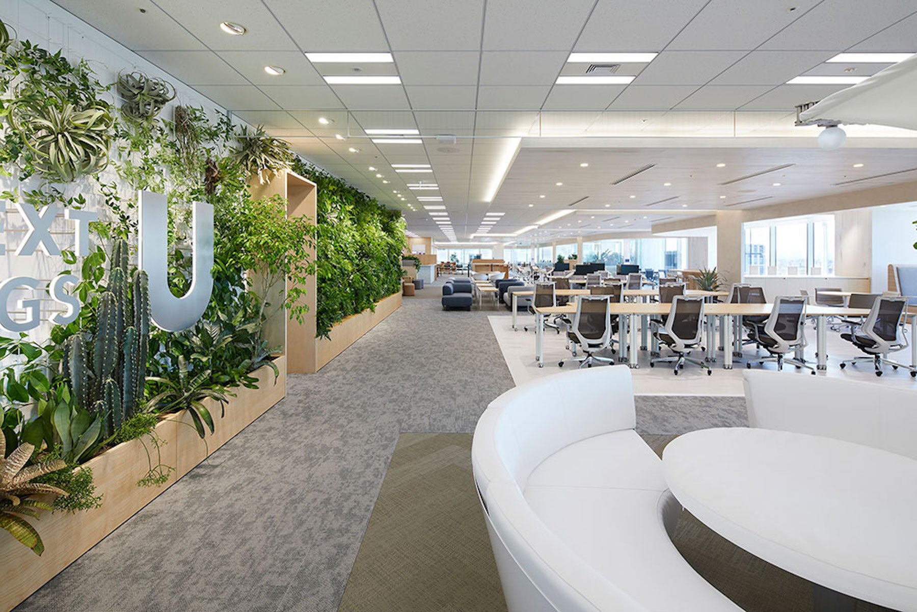 「法人様向けスペシャルティコーヒー導入支援プログラム」の導入をいただいた、株式会社USEN-NEXT HOLDINGS様の目黒本社オフィスの様子。