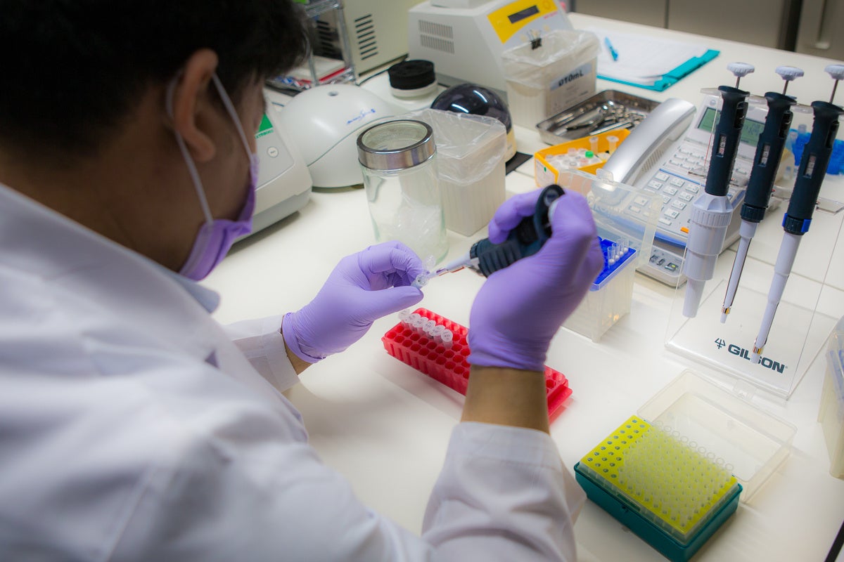 DNA鑑定-当社DNAラボ