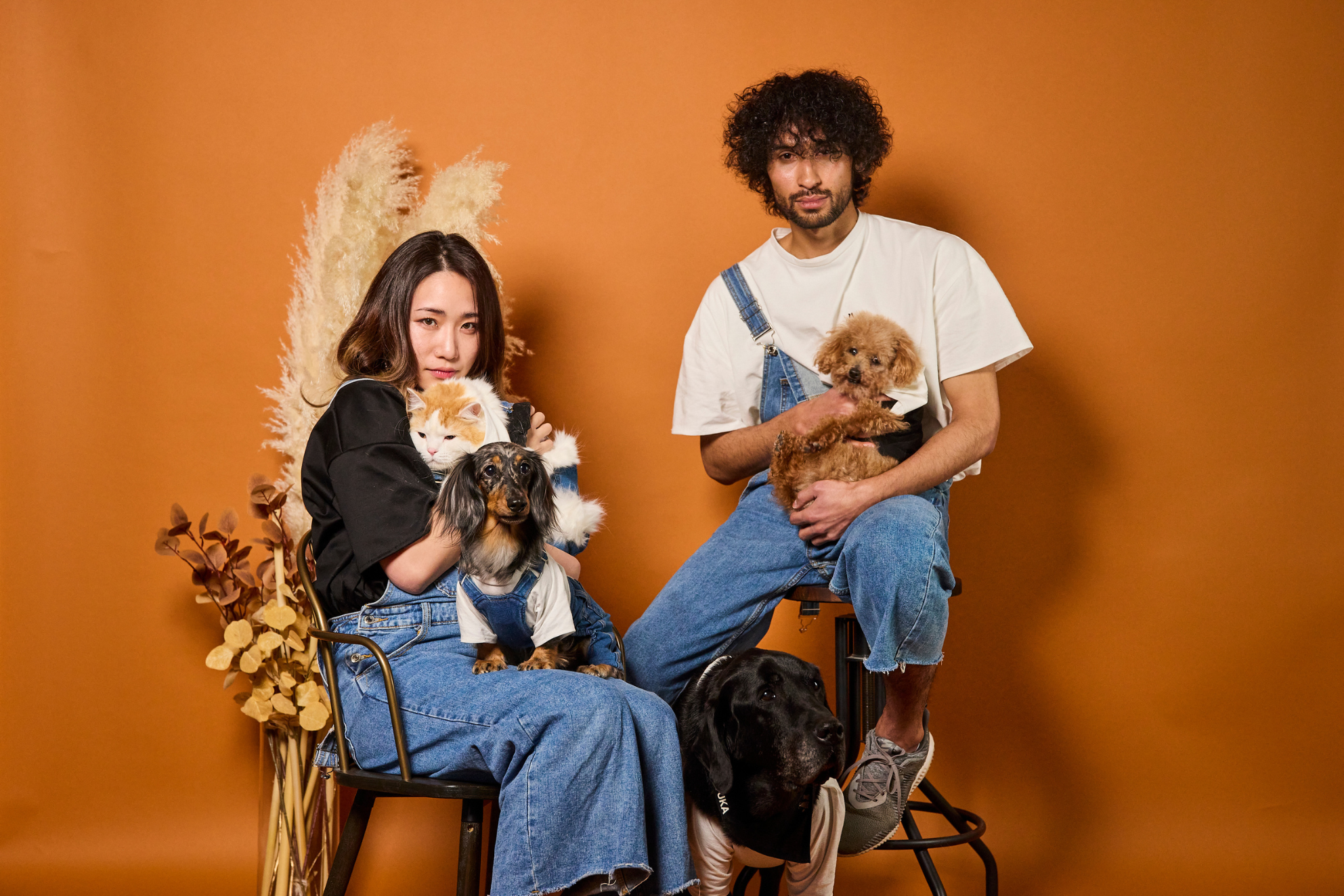 MOLUYUKA プレミアム スキンケア デニム オーバーオール for pets 4XL MOLUYUKA プレミアムスキンケア デニムオーバーオール for pets