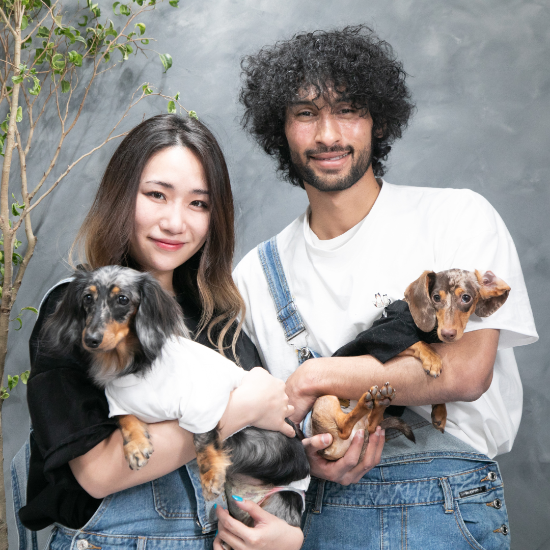 MOLUYUKA プレミアム スキンケア デニム オーバーオール for pets 4XL MOLUYUKA プレミアムスキンケア デニムオーバーオール for pets